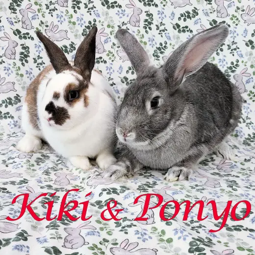 Kiki (bonded to Ponyo)