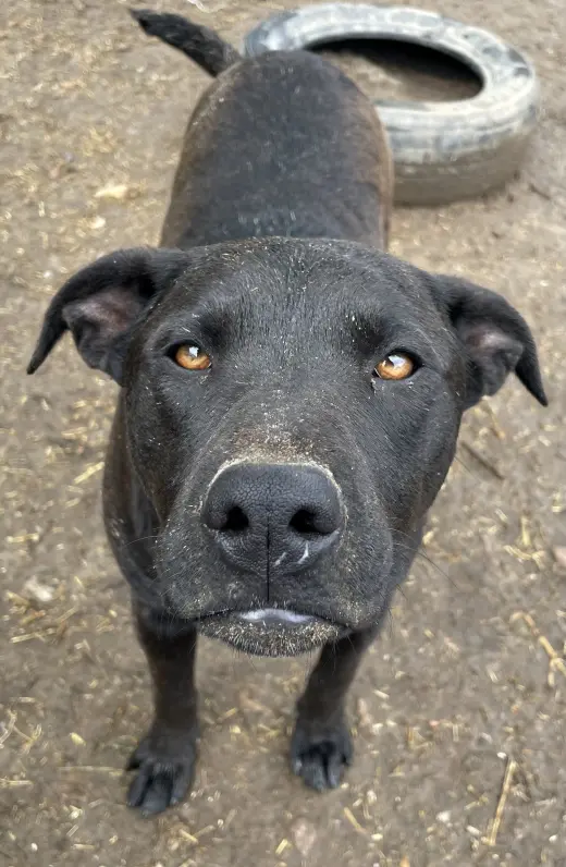 Max