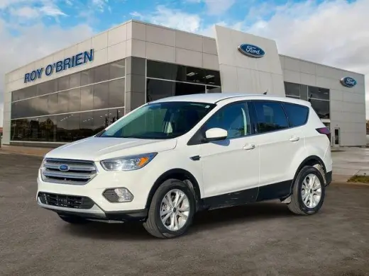 Ford Escape 2019 AWD SE 4dr SUV
