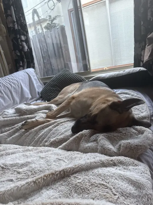 Gus