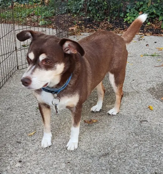 *Riley - Courtesy Listing