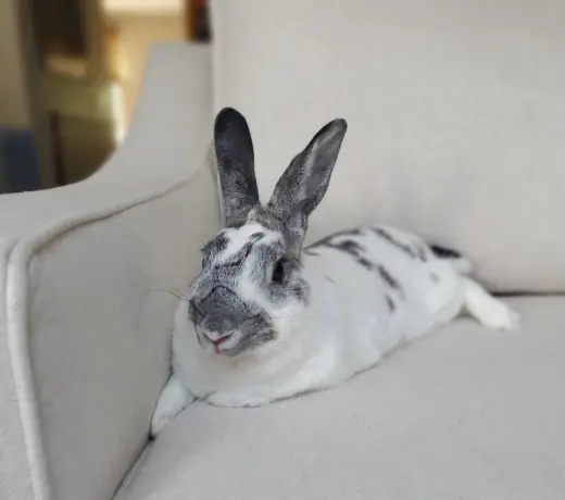 Marble