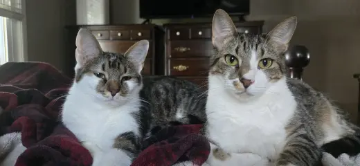 Wanda (bonded to Waylon)