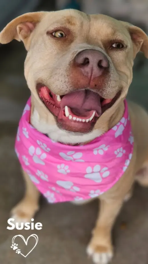 Susie