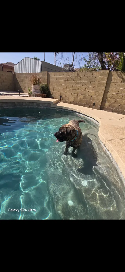 EARP - ADOPTION PENDING