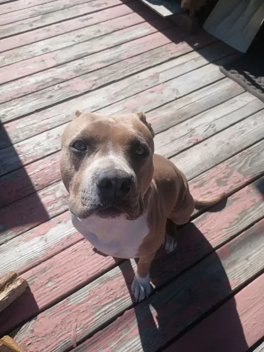 Molly