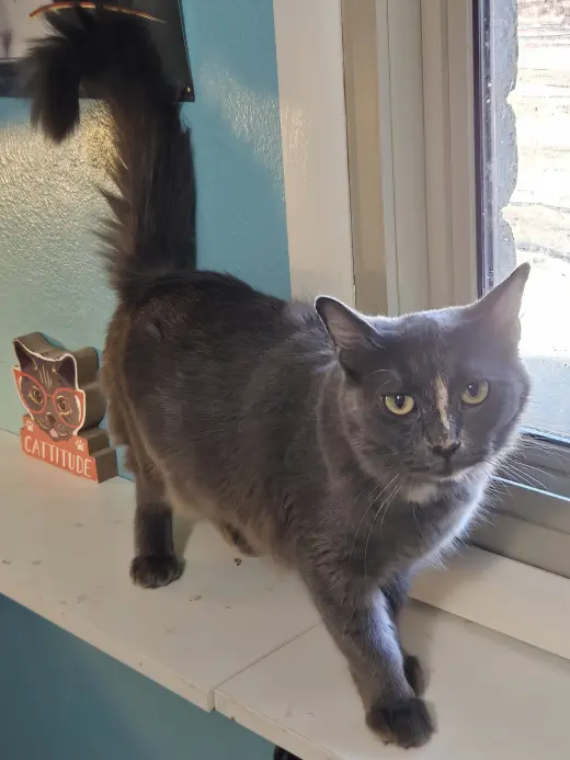 Delilah