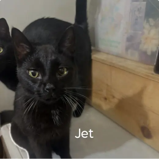 Jett
