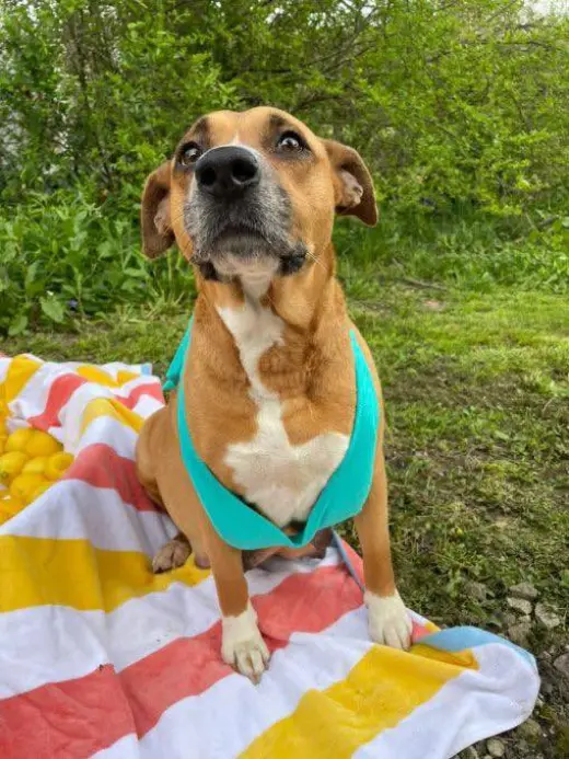 Penelope (Penny)