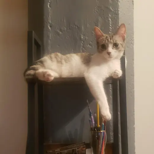Ricki (bonded with Roy)