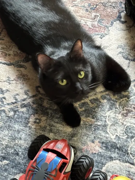 Jasper