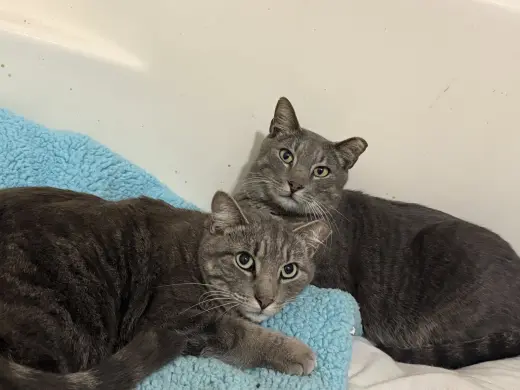 Lloyd & Larry