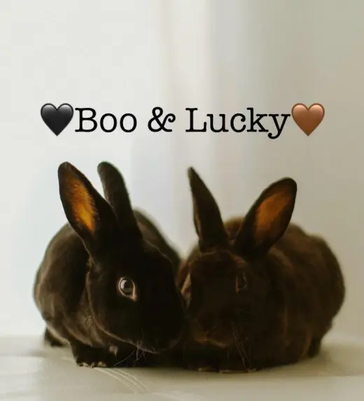 Lucky