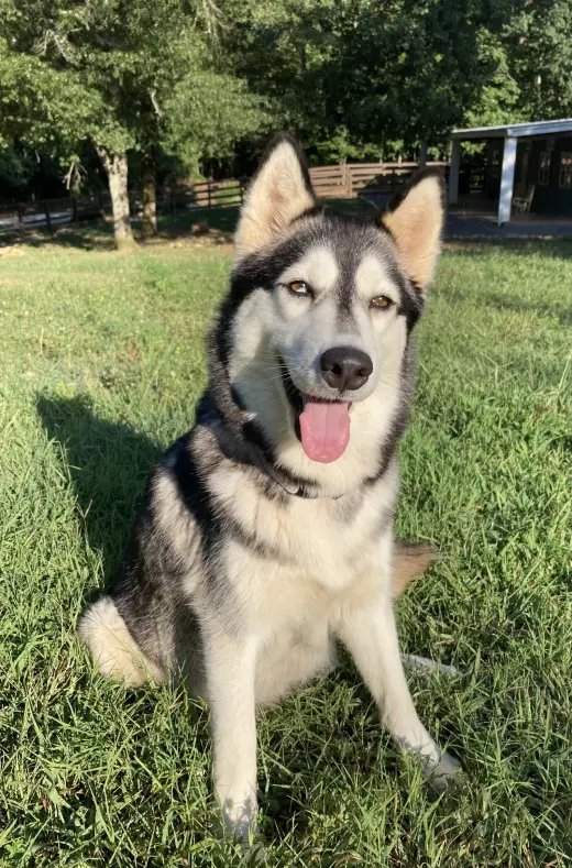 Luna