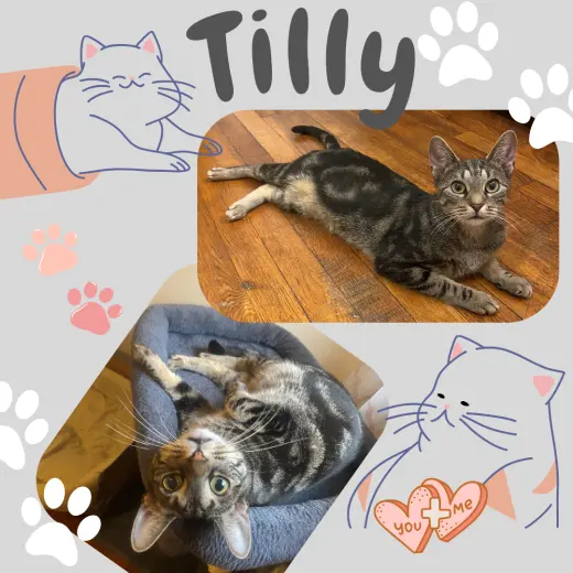 Tilly