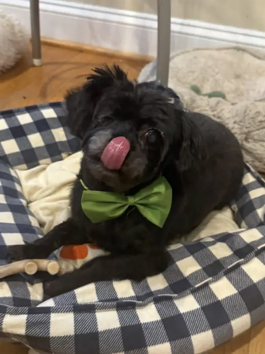 Mike Jul 25 - In Foster in Raleigh, NC