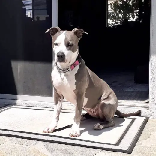 Peggy