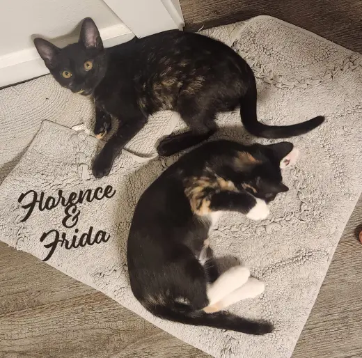 Florence & Frida #bonded-sisters