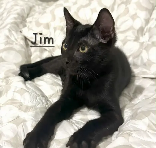 Jim #Beam