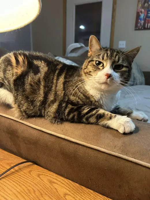 Tinker