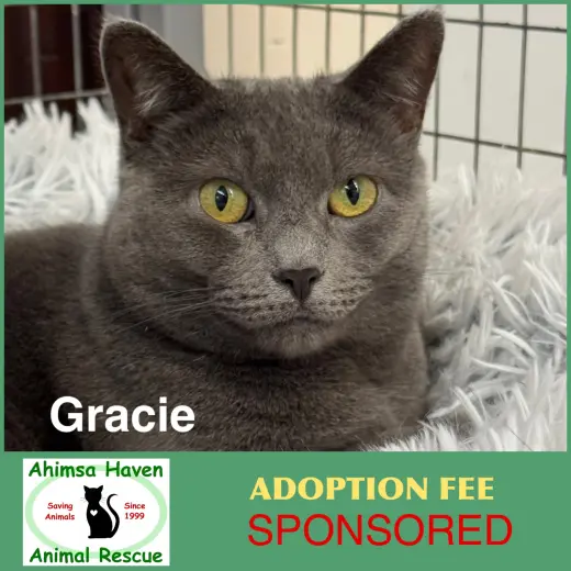 Gracie