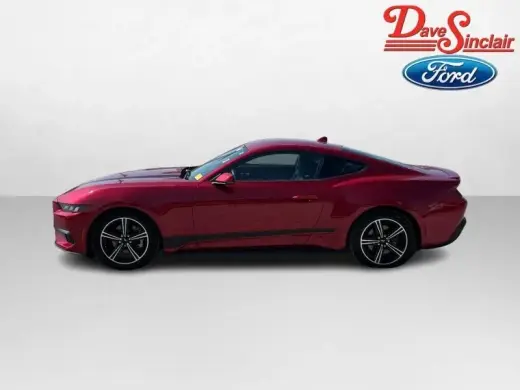 Ford Mustang 2024 EcoBoost 2dr Fastback