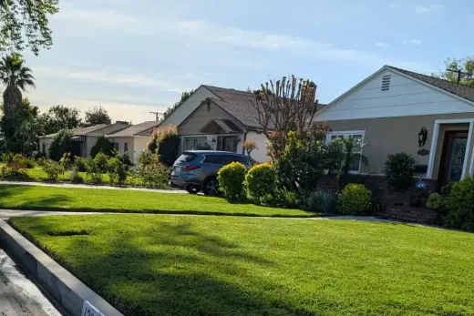Servicios Profesionales de Jardinería y Cuidado de Césped