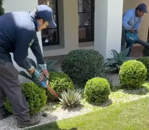 JARDINERÍA Y LANDSCAPING