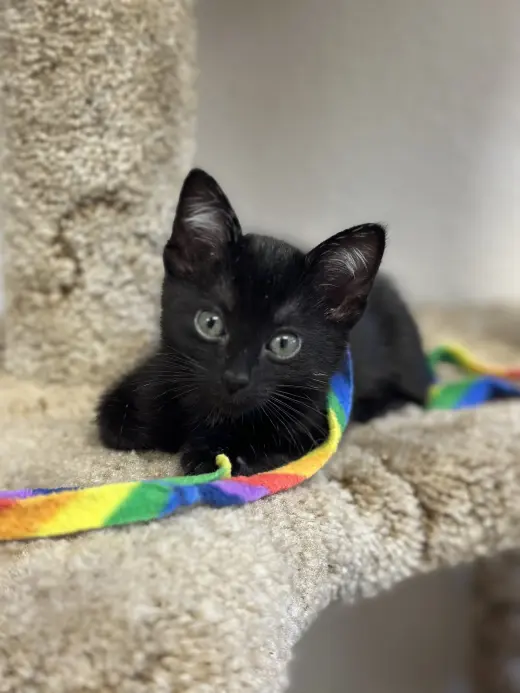 tiny