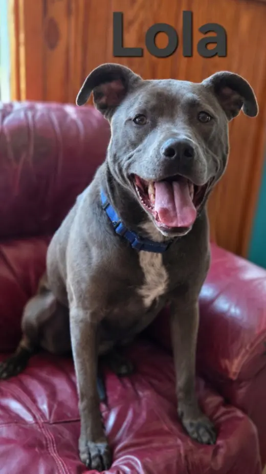 Tiana (Lola)