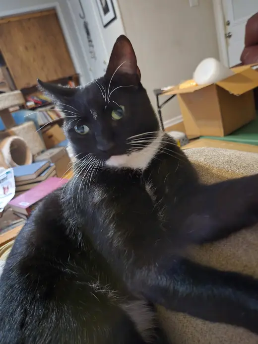 Charlie