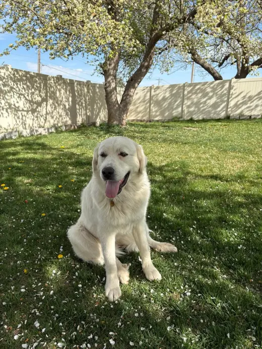 Miss Maggie
