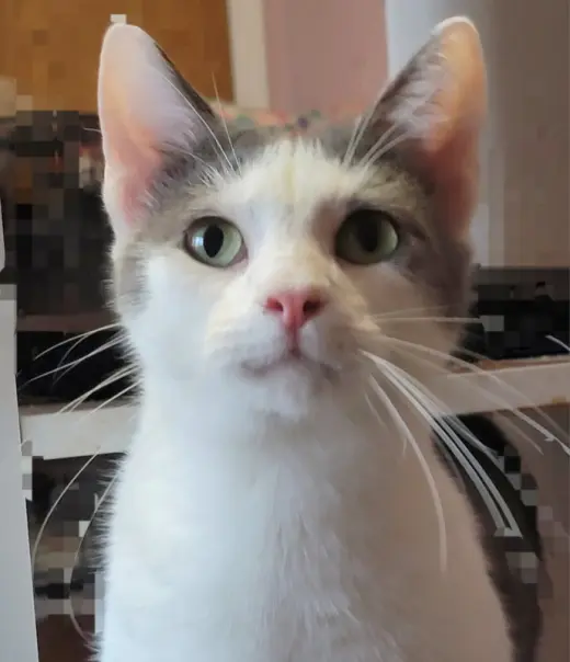 Carl