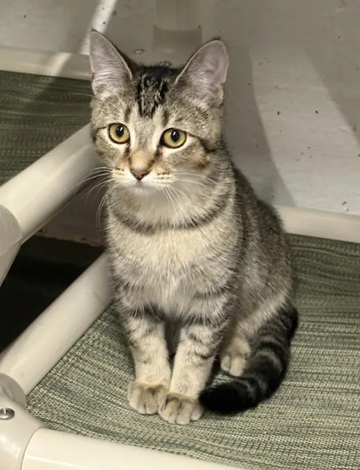 Victoria