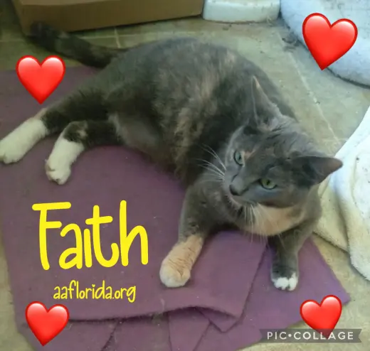 Faith
