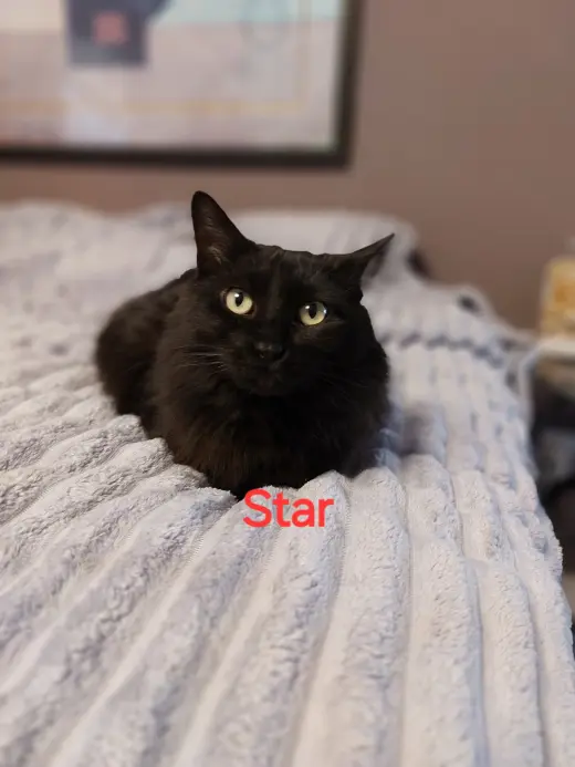 Star.