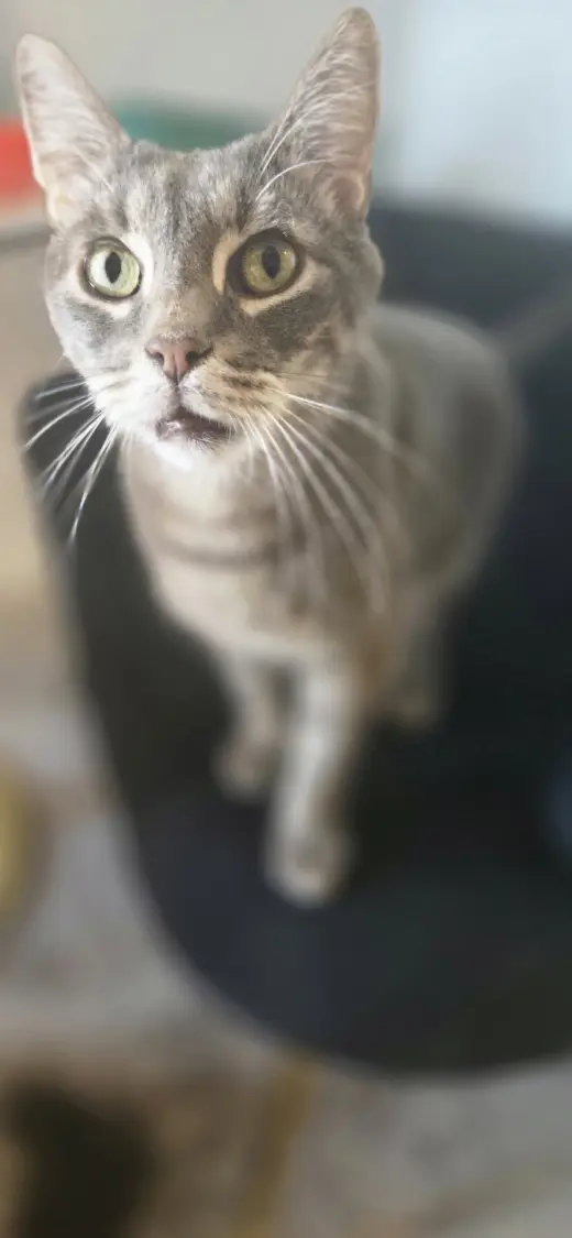 Bootsy