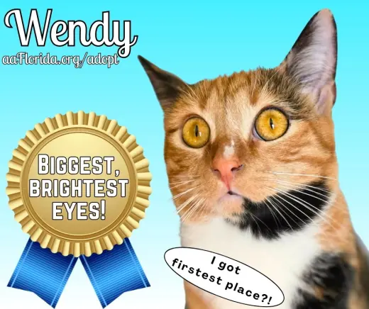 Wendy