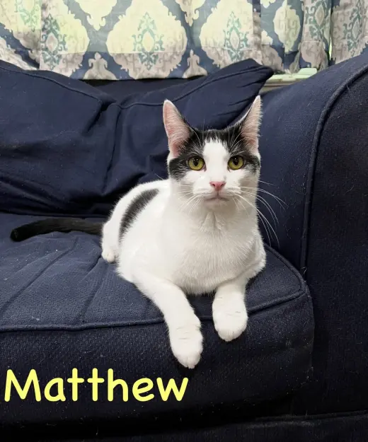 Matthew w/Mickey, Willow Grove (FCID 11/10/22-3)