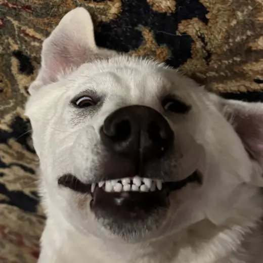 Barry