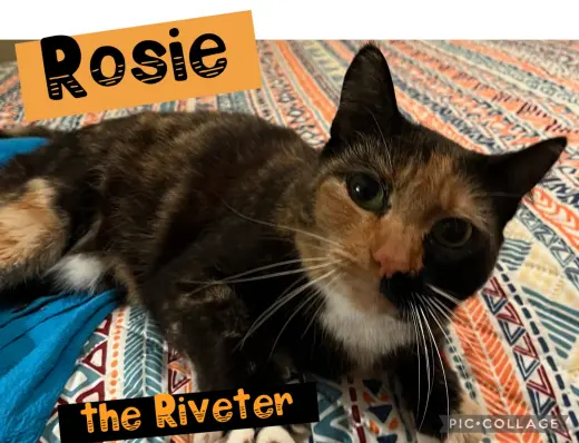 Rosie the Riveter