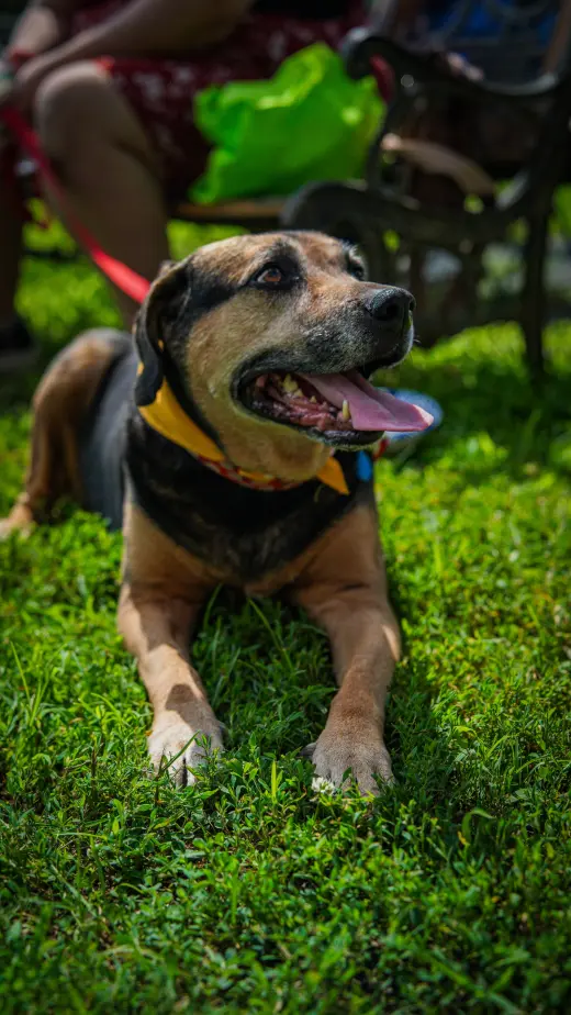 Abby - Awesome Girl!