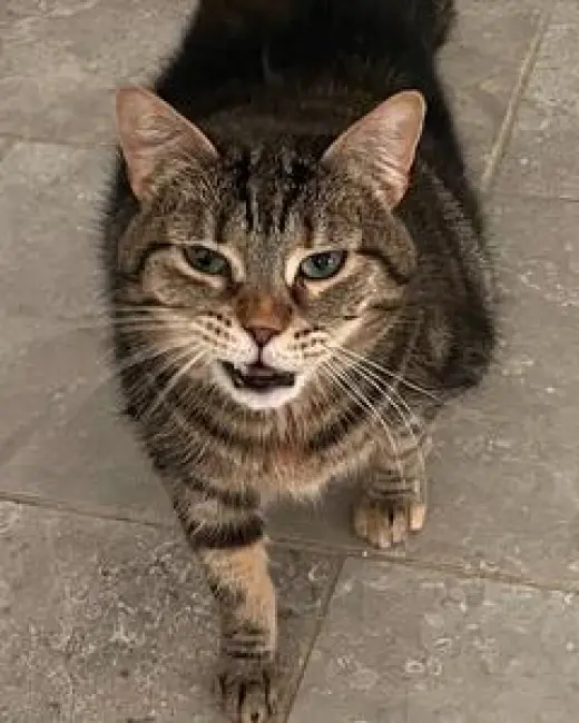 Matilda