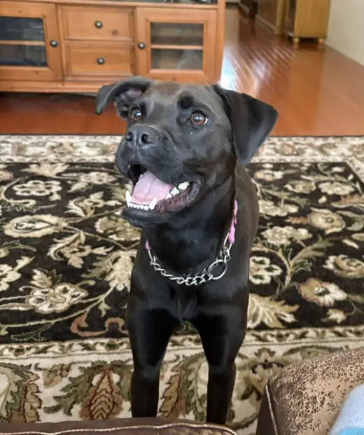 Winnie