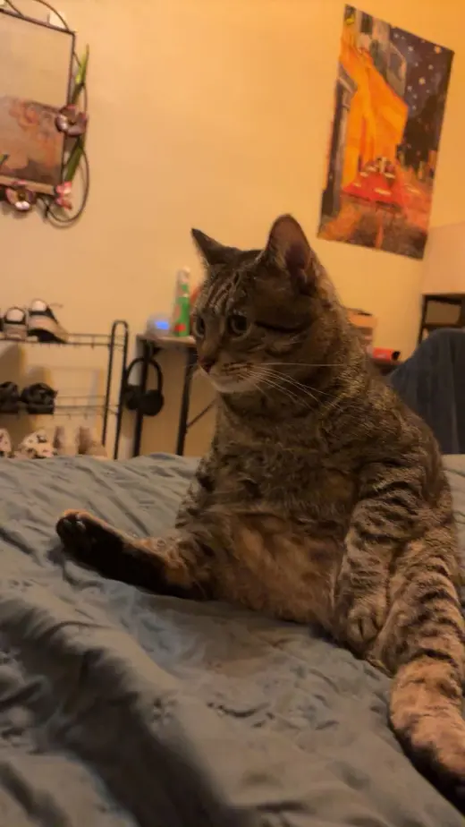 Bob