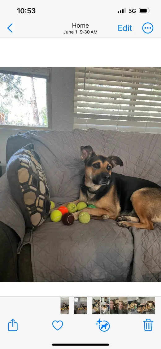 Nalla (CL)