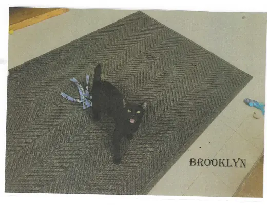 Brooklyn