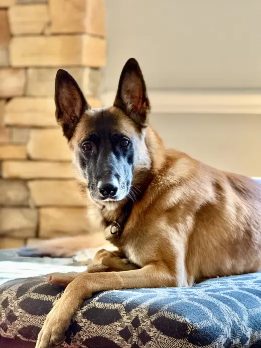 Fred - NH