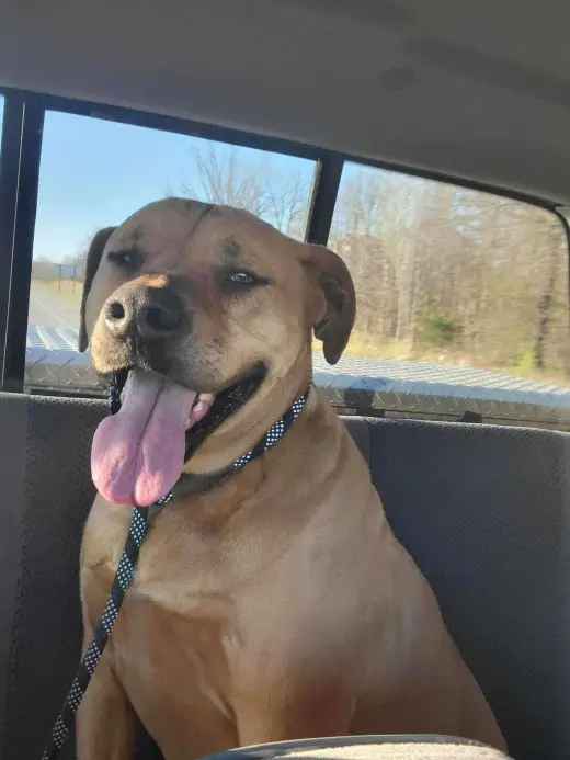 Odin
