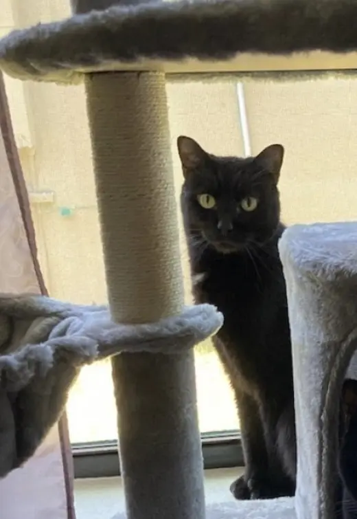 Max